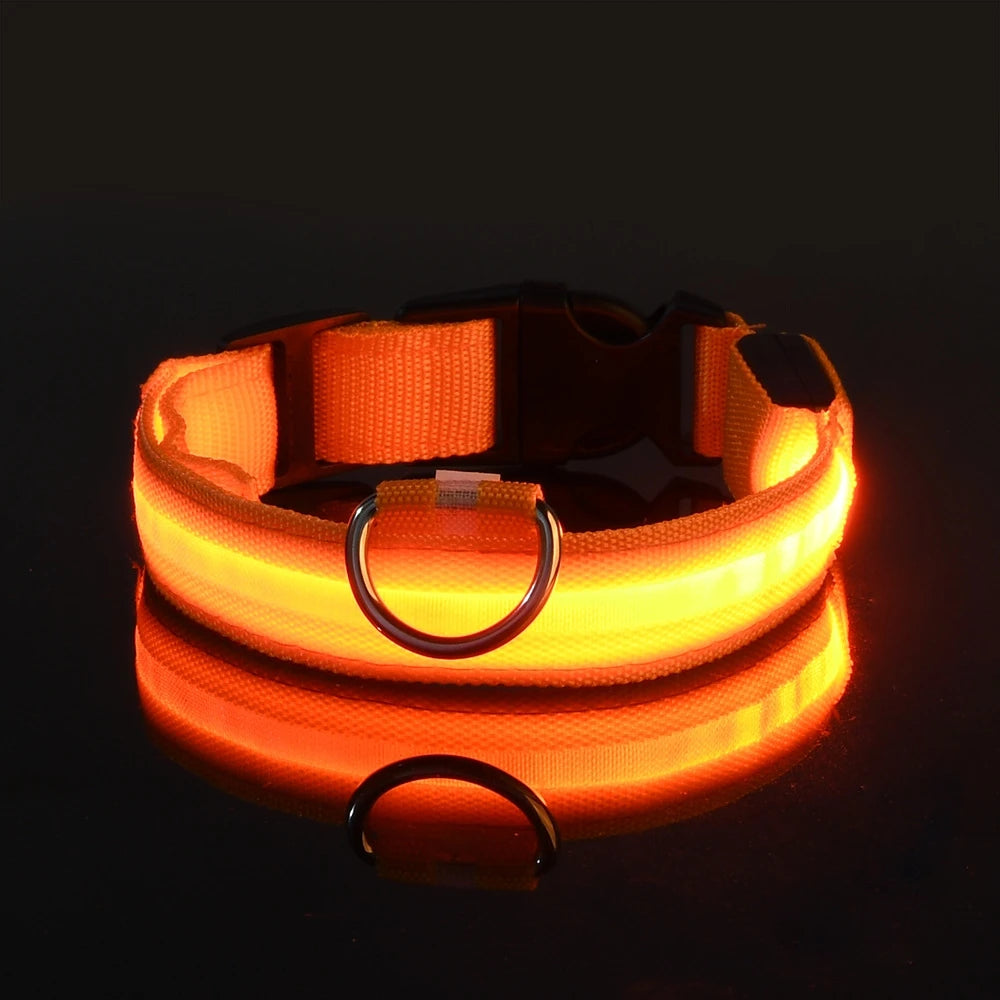 Nylon LED Night Safety Dogs Leash