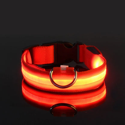 Nylon LED Night Safety Dogs Leash