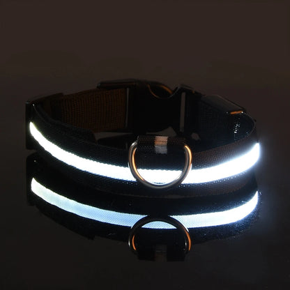 Nylon LED Night Safety Dogs Leash