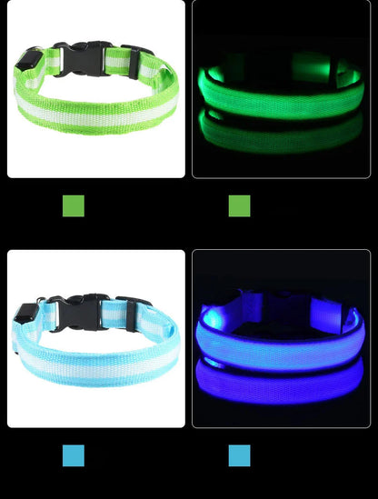 Nylon LED Night Safety Dogs Leash