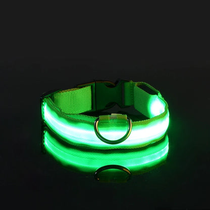 Nylon LED Night Safety Dogs Leash