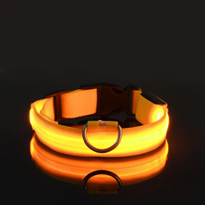 Nylon LED Night Safety Dogs Leash