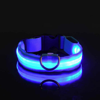 Nylon LED Night Safety Dogs Leash