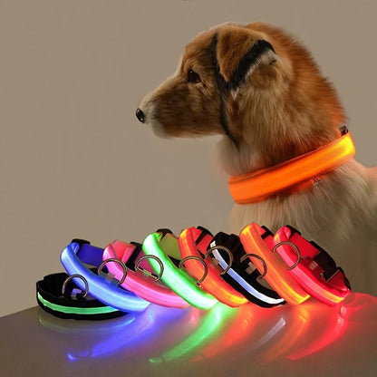 Nylon LED Night Safety Dogs Leash