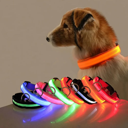 Nylon LED Night Safety Dogs Leash