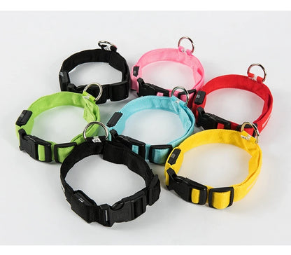 Nylon LED Night Safety Dogs Leash
