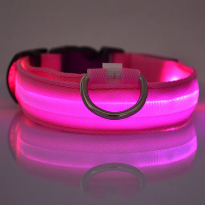 Nylon LED Night Safety Dogs Leash