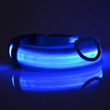 Nylon LED Night Safety Dogs Leash