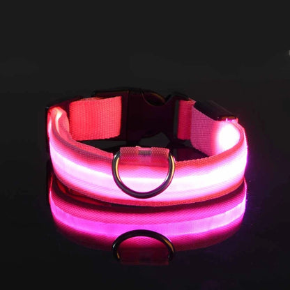 Nylon LED Night Safety Dogs Leash