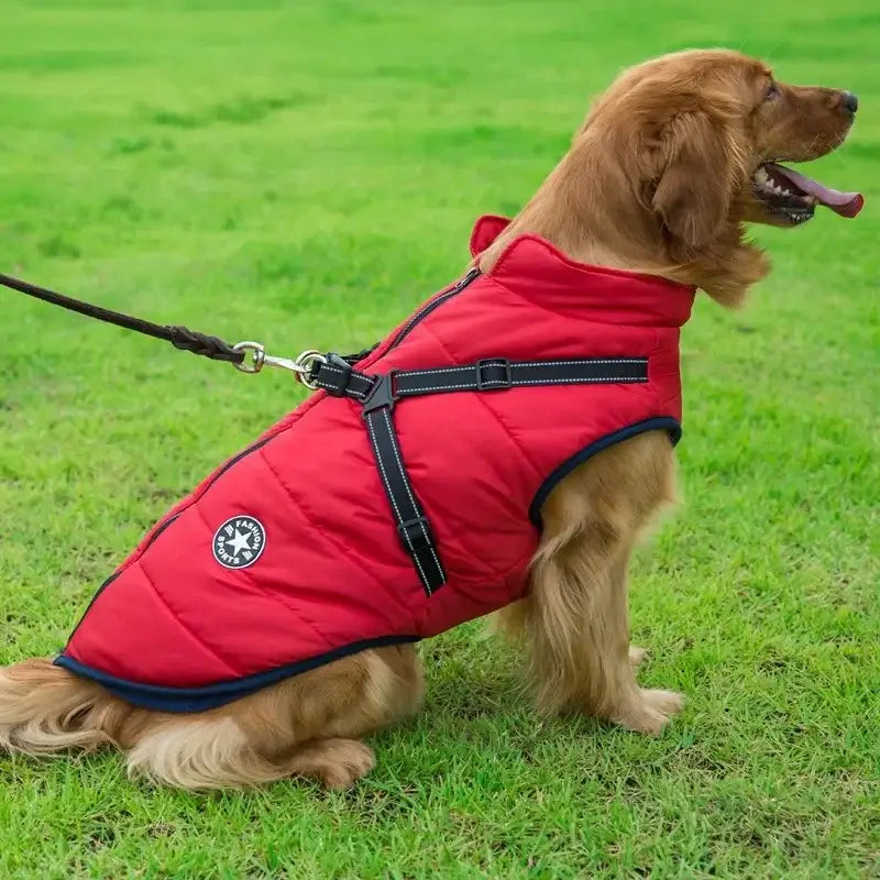 Waterproof Dog Jacket with Harness – Warm Winter Coat for Large Dogs
