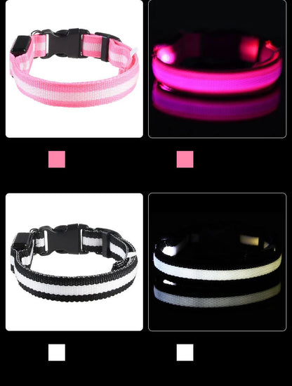 Nylon LED Night Safety Dogs Leash