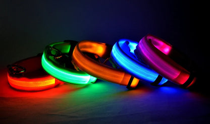 Nylon LED Night Safety Dogs Leash