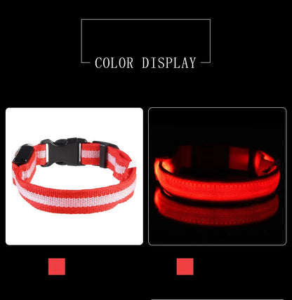 Nylon LED Night Safety Dogs Leash